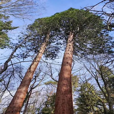 بيت للعطل Chalet,