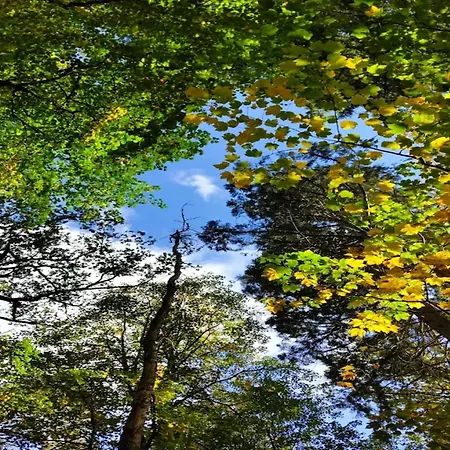 Chalet, Semesterbostad *