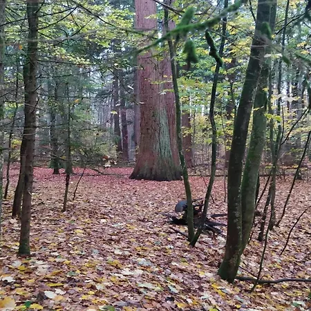 Chalet, Semesterbostad