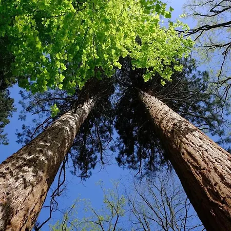 Chalet, * Wendorf (Kuhlen-Wendorf)