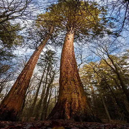 Chalet, Wendorf (Kuhlen-Wendorf)