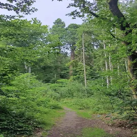 Chalet, Semesterbostad