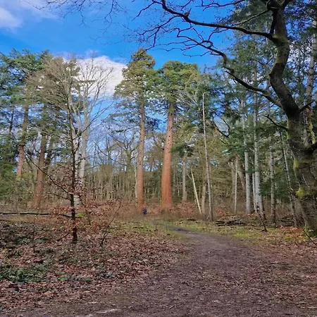 Chalet, Semesterbostad Wendorf (Kuhlen-Wendorf)