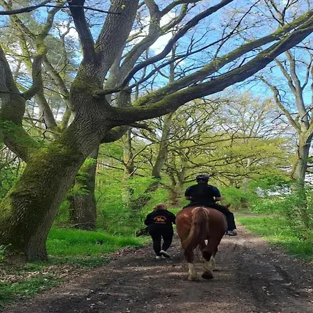 Chalet, Semesterbostad