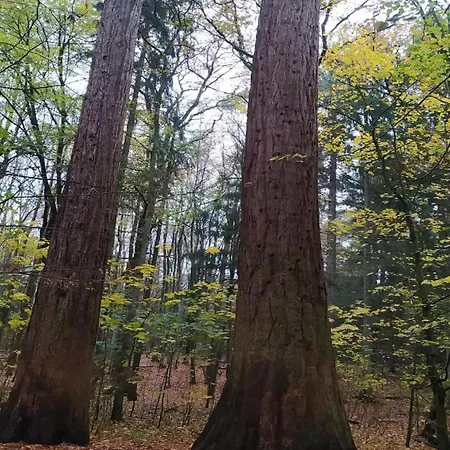 Semesterbostad Chalet, Wendorf (Kuhlen-Wendorf)