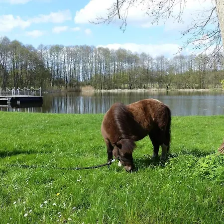 Chalet, بيت للعطل